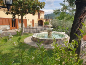 B&B Il Mandorlo